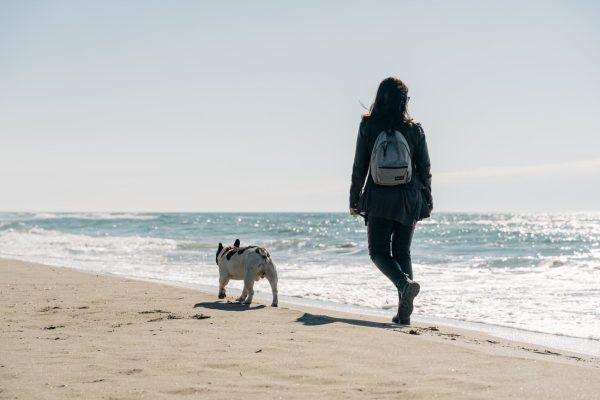 Γυναίκα περπατά στην παραλία μαζί με τον σκύλο της