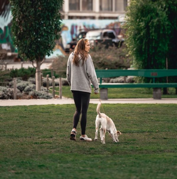 woman walking dog -mauro-lima-Oodl-VtNgpQ-unsplash-cover